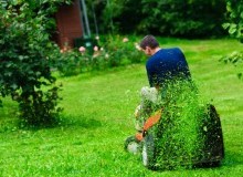 Kwikfynd Lawn Mowing
kenwick