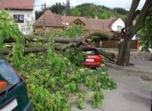 Kwikfynd Tree Cutting Services
kenwick